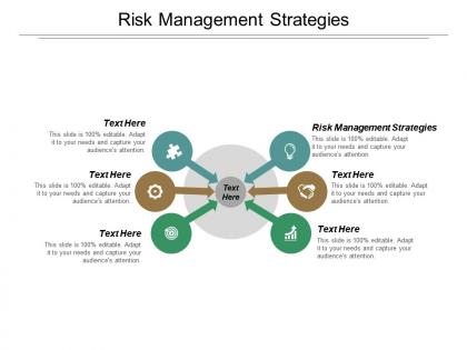 Risk management strategies ppt powerpoint presentation inspiration elements cpb