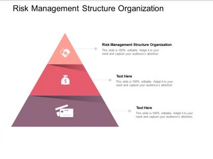 Risk management structure organization ppt powerpoint presentation file cpb