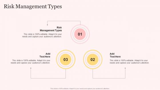 Risk Management Types In Powerpoint And Google Slides Cpb