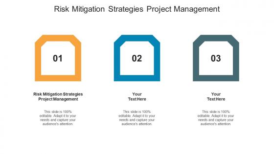 Risk mitigation strategies project management ppt powerpoint inspiration cpb