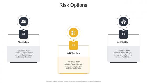 Risk Options In Powerpoint And Google Slides Cpb