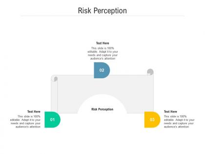 Risk perception ppt powerpoint presentation gallery portrait cpb