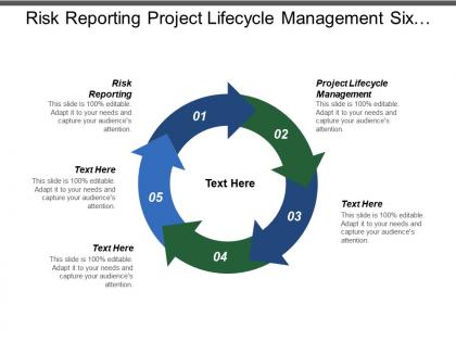 Risk reporting project lifecycle management six sigma process control cpb