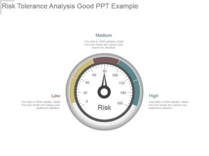 Risk tolerance analysis good ppt example