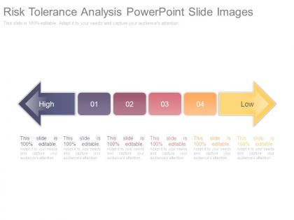 Risk tolerance analysis powerpoint slide images