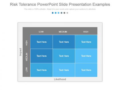 Risk tolerance powerpoint slide presentation examples