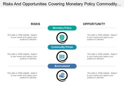 Risks and opportunities covering monetary policy commodity and environment