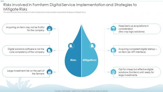 Risks Involved In Fomfarm Digital Service Implementation And Strategies To Mitigate Risks