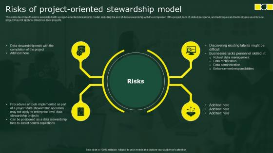 Risks Of Project Oriented Stewardship Model Stewardship By Business Process Model