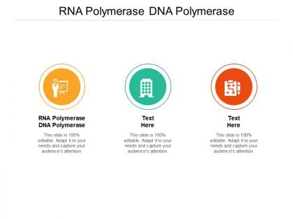 Rna polymerase dna polymerase ppt powerpoint presentation infographics introduction cpb