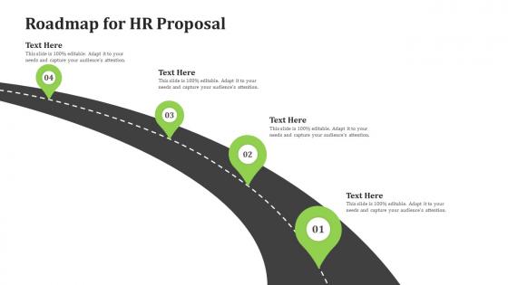 Roadmap for hr proposal ppt visual aids background images