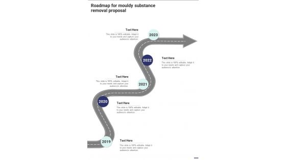 Roadmap For Mouldy Substance Removal Proposal One Pager Sample Example Document