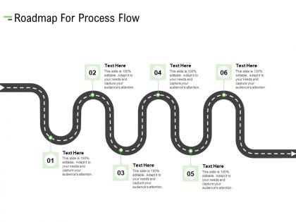 Roadmap for process flow a799 ppt powerpoint presentation styles graphics download