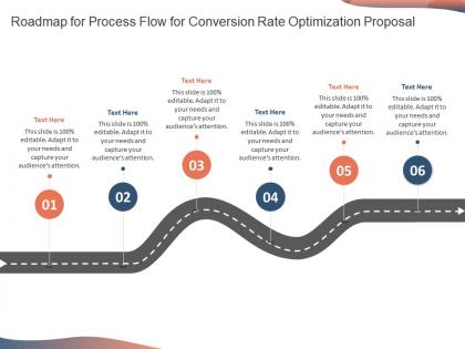 Roadmap for process flow for conversion rate optimization proposal ppt icon maker