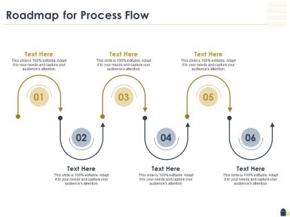 Roadmap for process flow ppt powerpoint presentation gallery examples