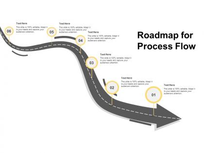 Roadmap for process flow timeline i424 ppt powerpoint presentation professional
