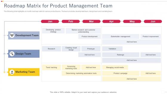 Roadmap Matrix For Product Management Team