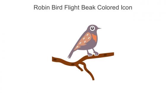 Robin Bird Flight Beak Colored Icon In Powerpoint Pptx Png And Editable Eps Format