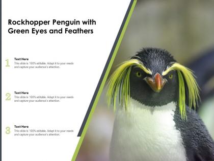 Rockhopper penguin with green eyes and feathers
