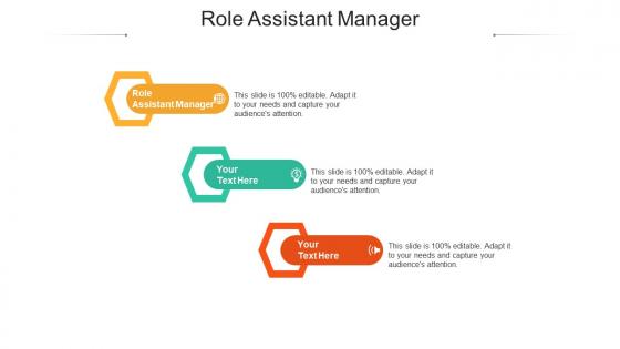 Role assistant manager ppt powerpoint presentation outline layout ideas cpb