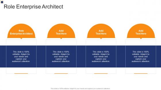 Role Enterprise Architect In Powerpoint And Google Slides Cpb