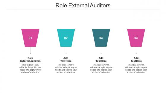 Role External Auditors Ppt Powerpoint Presentation Inspiration Summary Cpb