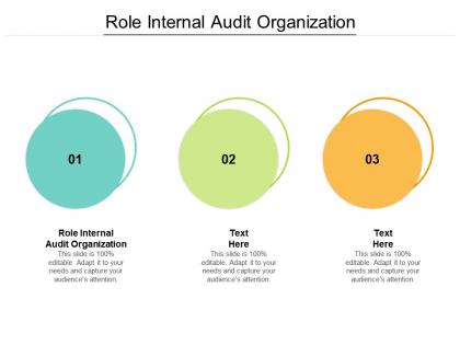 Role internal audit organization ppt powerpoint presentation styles designs cpb