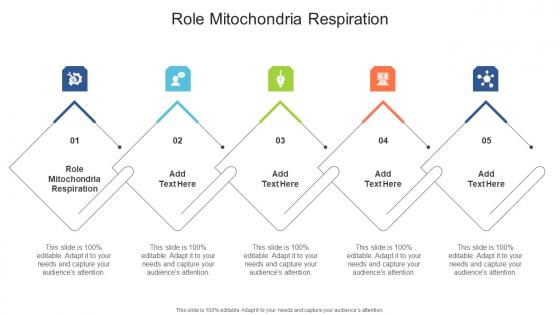 Role Mitochondria Respiration In Powerpoint And Google Slides Cpb