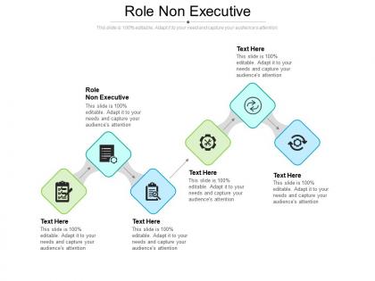 Role non executive ppt powerpoint presentation styles template cpb