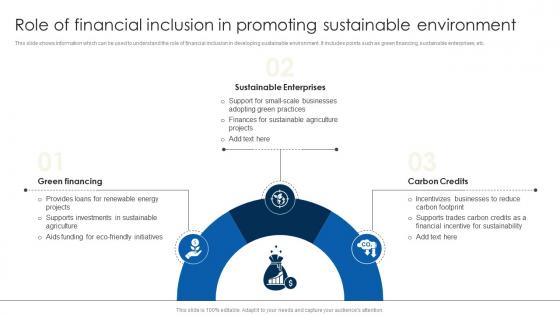 Role Of Financial Inclusion In Promoting Financial Inclusion To Promote Economic Fin SS