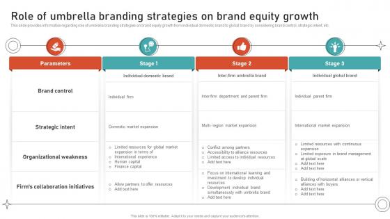 Role Of Umbrella Branding Strategies On Brand Equity Leveraging Brand Equity For Product