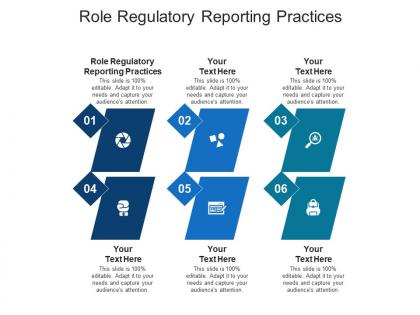 Role regulatory reporting practices ppt powerpoint presentation infographic cpb