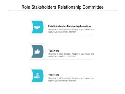 Role stakeholders relationship committee ppt powerpoint presentation outline file cpb