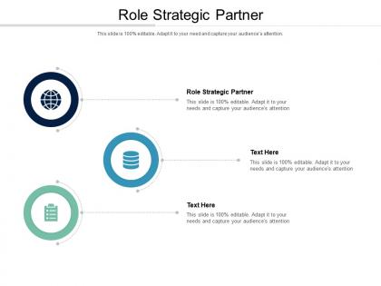 Role strategic partner ppt powerpoint presentation infographics sample cpb
