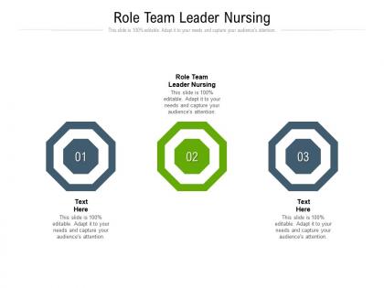Role team leader nursing ppt powerpoint presentation professional designs download cpb