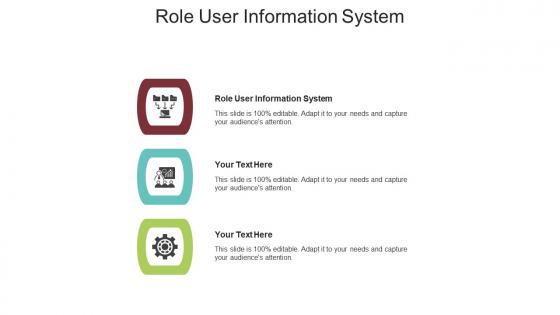 Role user information system ppt powerpoint presentation file shapes cpb