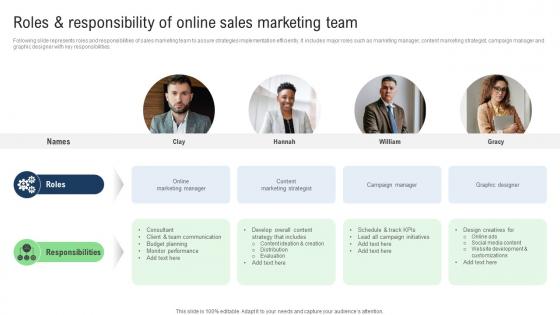 Roles And Responsibility Of Online Sales Improvement Strategies For Ecommerce Website