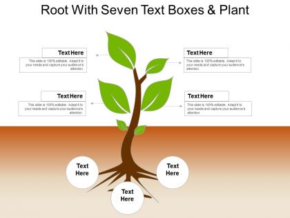 Root with seven text boxes and plant