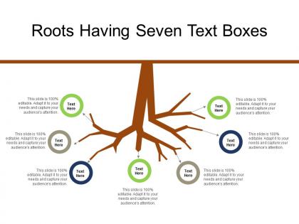 Roots having seven text boxes