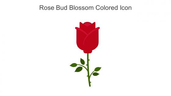 Rose Bud Blossom Colored Icon In Powerpoint Pptx Png And Editable Eps Format