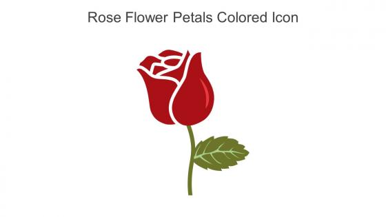 Rose Flower Petals Colored Icon In Powerpoint Pptx Png And Editable Eps Format