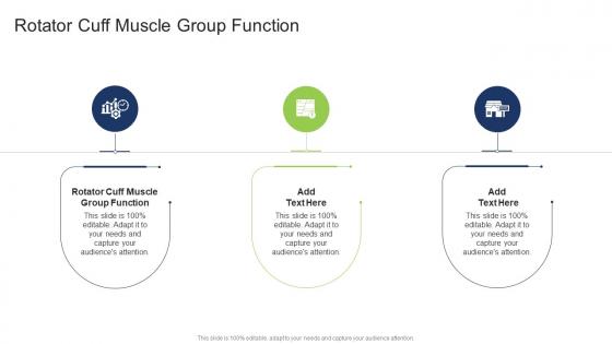 Rotator Cuff Muscle Group Function In Powerpoint And Google Slides Cpb