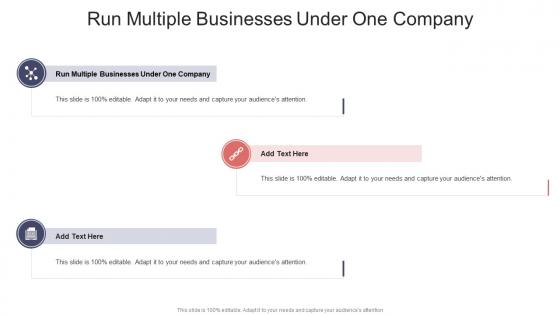 Run Multiple Businesses Under One Company In Powerpoint And Google Slides Cpb