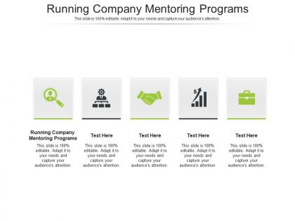 Running company mentoring programs ppt powerpoint presentation infographics shapes cpb