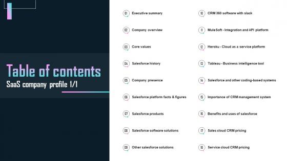 SaaS Company Profile Table Of Contents SaaS Company Profile CP SS V