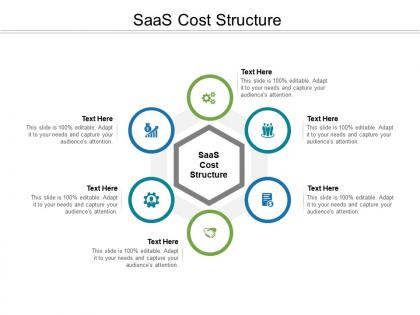 Saas cost structure ppt powerpoint presentation portfolio graphics tutorials cpb