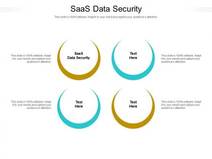 Saas data security ppt powerpoint presentation pictures tips cpb