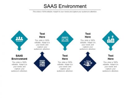 Saas environment ppt powerpoint presentation infographic template example cpb