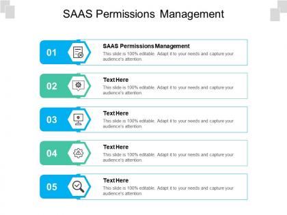 Saas permissions management ppt powerpoint show mockup cpb