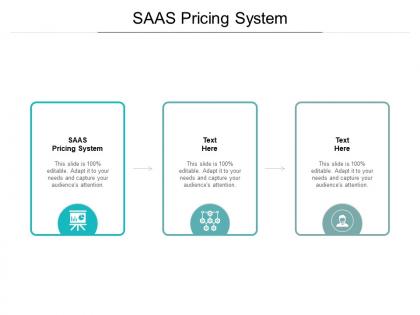 Saas pricing system ppt powerpoint presentation outline good cpb